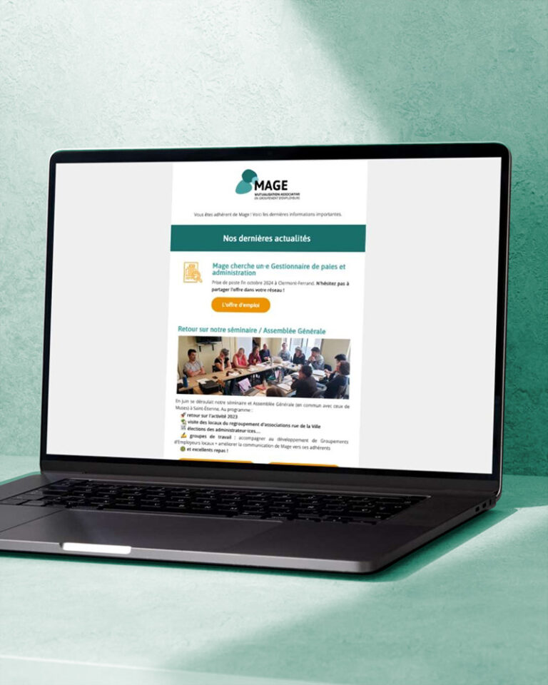 6 newsletters en 2025 – Pour Mage